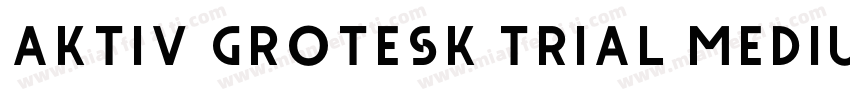 Aktiv Grotesk Trial Medium字体转换